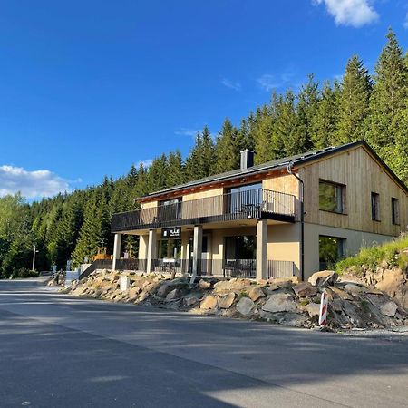 Flaje Apartmany Český Jiřetín Buitenkant foto