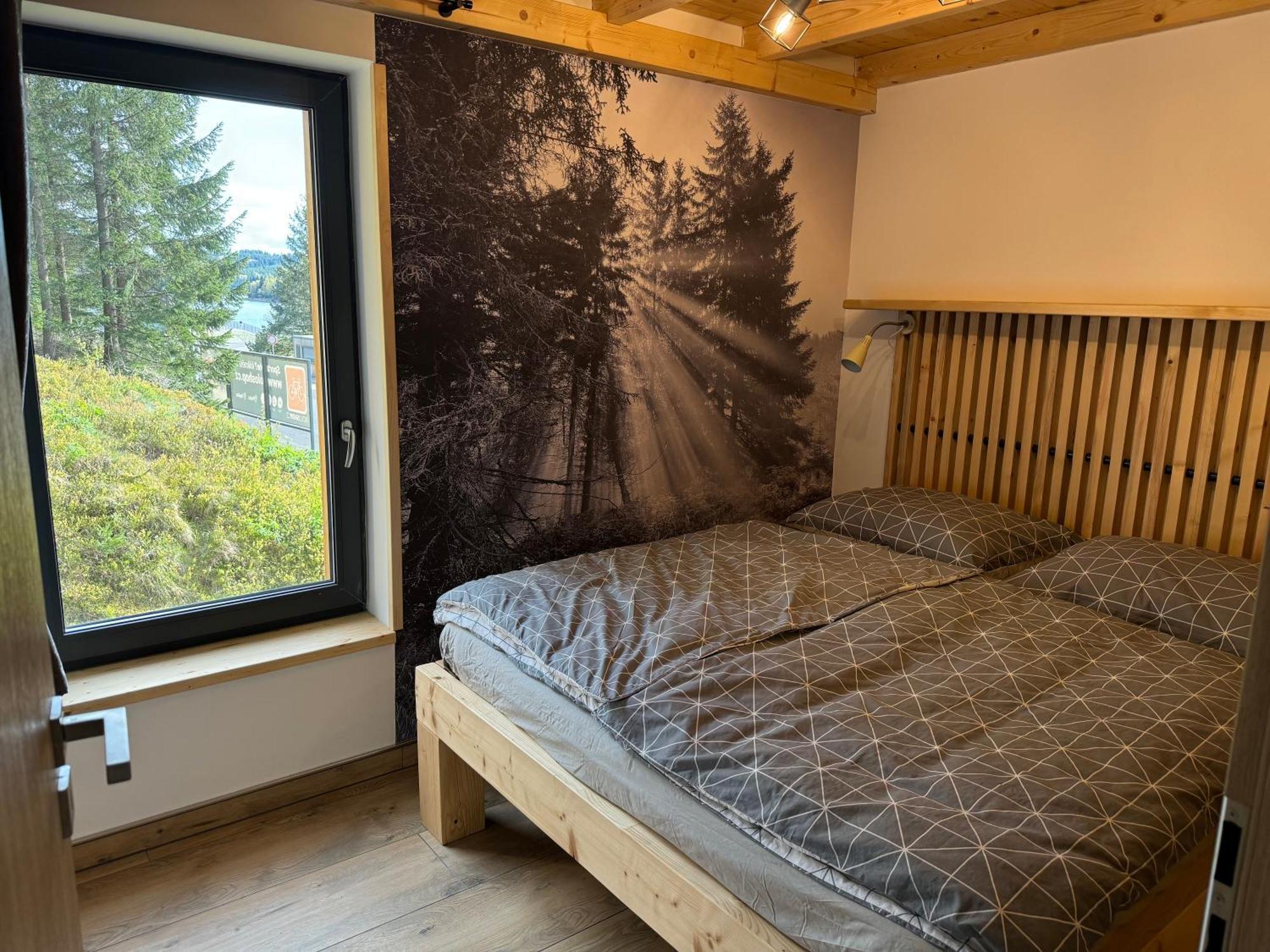 Flaje Apartmany Český Jiřetín Buitenkant foto